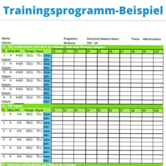 Trainingsprogramm Beispiel
