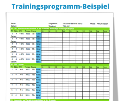 Trainingsprogramm Beispiel